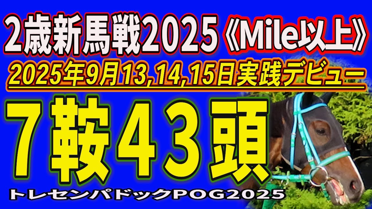 2歳新馬戦2025】7鞍出走43頭の若駒の姿を。2025年9月13