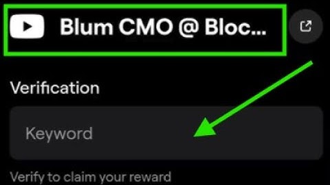 Blum Cmo @ Blockchain Life | Blum Code | Blum Cmo @ Blockchain Life | Blum Verification Code