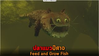 ปลาแมวปีศาจ Feed and Grow Fish