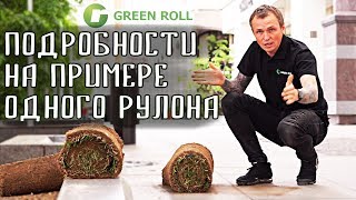 Газон рулонный универсальный. Каким бывает рулонный газон Газон рулонный универсальный. Каким бывает рулонный газон