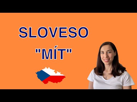 Sloveso "Mít". Глагол "Иметь". Чешский язык