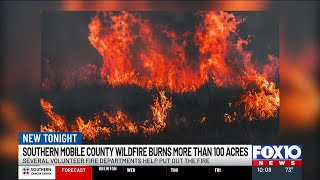 Wildfire burns over a hundred acres in Southern Mobile County