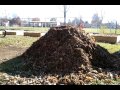 Raised Bed Garden: What I learned About Wood Chips Raised Bed Garden: What I learned About Wood Chips