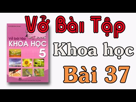 Video VỞ BÀI TẬP KHOA HỌC LỚP 5 BÀI 37 DUNG DỊCH - YouTube