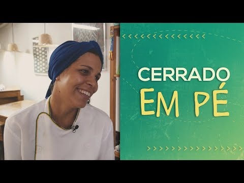 A DIVERSIDADE QUE SUSTENTA A VIDA NA TERRA // Ana Paula Boquadi do Buriti Zen // PorQueNão?