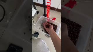 Small Roasted Coffee Bean Sorter #colorsorter #machine #factory #coffeebean #coffeecolorsorter