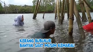 Emak Enah Berburu Kerang Bubukur | ENAH BIKIN ENAK (20/05/22) Part 1