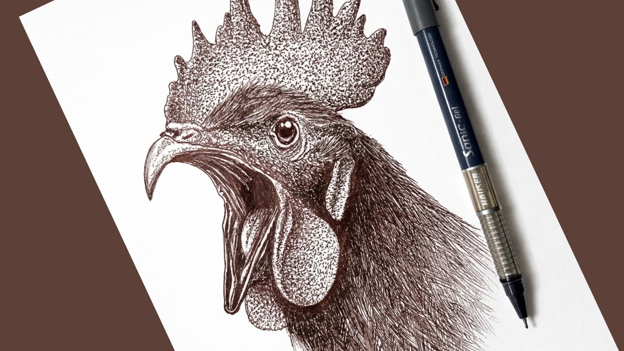 Amazing Pen Sketch of a Crowing Rooster | Detailed Ballpoint Pen Art 🐔