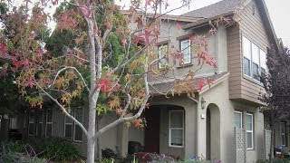 369 Feather River Place Oxnard, CA 93036