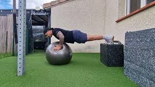 Elevated Swiss Ball Pushup + Hip Flexion