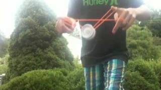 Multifarious Whip