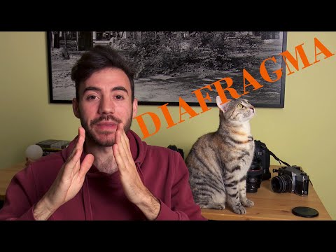 Video: Diafragma Obiectivului: Ce Este și Cum Se Determină Numărul F? Ce Este Mai Bun și Cum Se Mărește Diafragma Camerei?