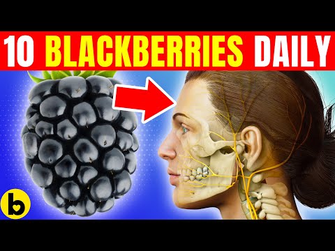 Video: Names of black berries, useful and dangerous to he alth