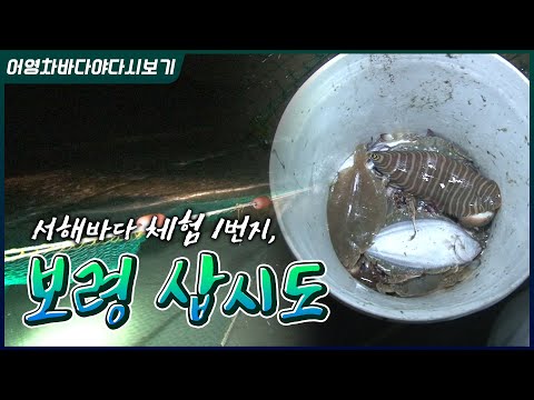 후리질로 꽃게랑 광어, 우럭이랑 놀래미 다 잡아봤습니다. 아 진짜 재밌습니다. 빨리 회떠먹으러 가야지요~ #후리질 #꽃게 #광어 #우럭