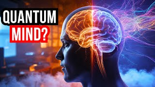 Scientists Are Split  Is Consciousness Actually Quantum  Sleepy Physicist