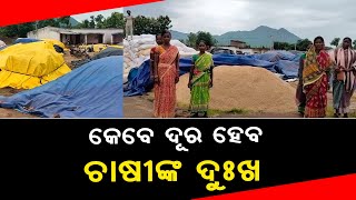Farmers In Distress Over Mandi Mismanagement & Irregularities In Paddy Procurement In Junagarh Block