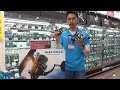 福岡店が動画で説明！！2020年発売の注目リール、DAIWA【ソルティガ】
