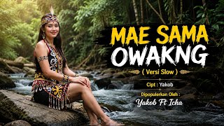 LAGU DAYAK PALING SEDIH