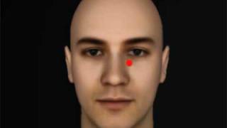 The more-or-less morphing face illusion Net Worth