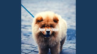 Subtle Moods for Cute Puppy