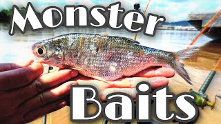 Monster Baits = Monster Fish by Chris Souders 7,907 views 2 years ago 16 minutes