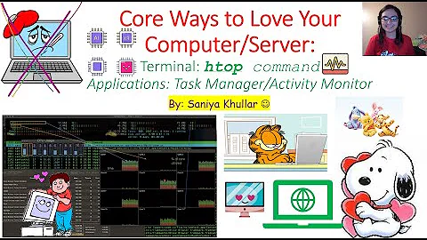 htop Commands, Task Manager/Activity Monitor: Core Ways to Love Your Computer/Server