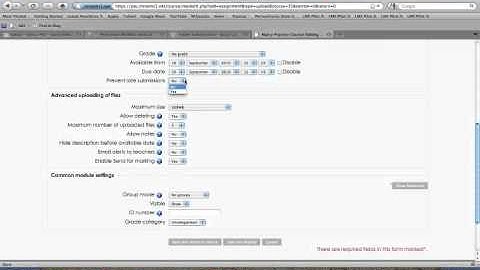 Moodle Dropbox-Assignment