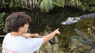 EXPLORING THE FLORIDA EVERGLADES | (CRAZY FIND!)