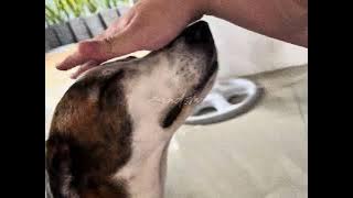 𝚛𝚊𝚗𝚍𝚘𝚖 𝚝𝚑𝚒𝚗𝚐𝚜ꨄ︎