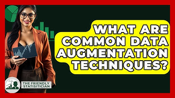 What Are Common Data Augmentation Techniques? - The Friendly Statistician