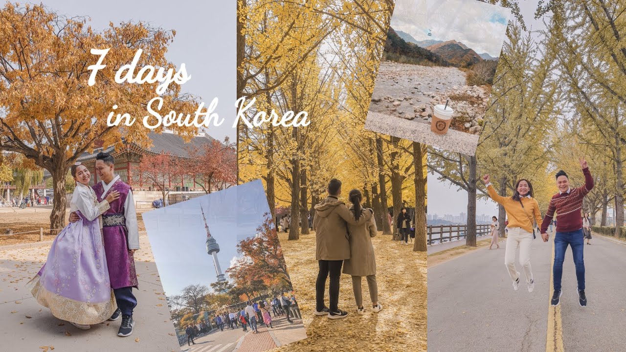 autumn korea  2022 New  AUTUMN IN SOUTH KOREA - 7D6N ITINERARY