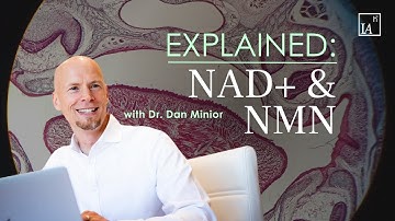 NAD+ and NMN Explained: The Science of Aging & How to Reverse It
