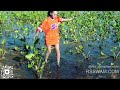 Wearing Air Jordan 1 Sneakers Hot Asian Cheerleader Girl Having Fun in Muddy Swamp  | Girl in Mud