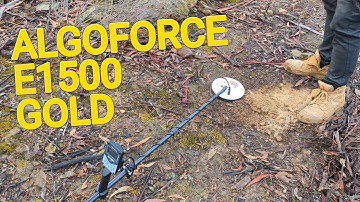 Our First GOLD With The AlgoForce E1500 Plus And It