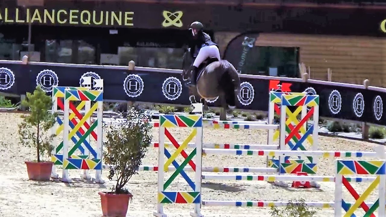 ■ 21/04/2024 - Le Mans Harcour 2024 - Amateur 1 (120 cm) - Fraqk du Pré du Jart - CSO - Clara Maitre