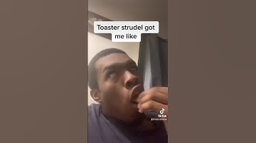 The best Toaster Strudel every