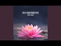 Lotus Flower Radio Edit mp3