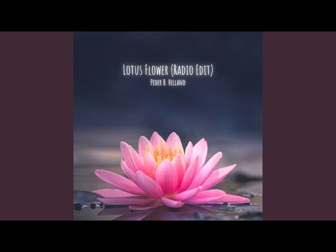 Lotus Flower (Radio Edit)