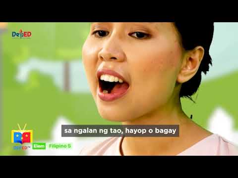 GRADE 5  FILIPINO  QUARTER 1 EPISODE 2 (Q1 EP2): Wastong Gamit ng Pangngalan