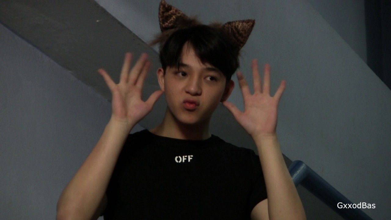 20170803 Bas is a kitten. น้อนเหมียวบาส @ยุทธการสะท้านตับ