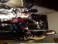 العقال القبلى ب م 2 