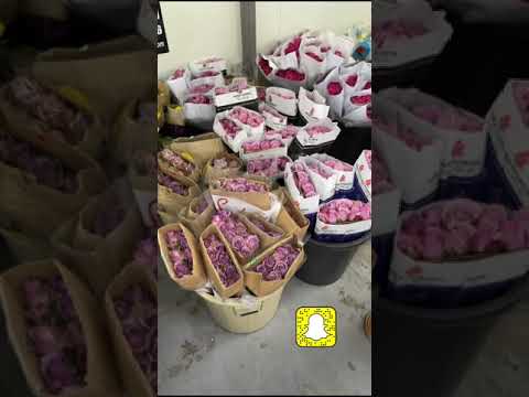 تغطية جملة الورود الطبيعية 