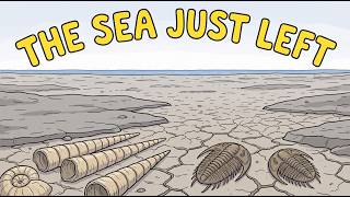 There Are Five Mass Extinctions And You Can Only Name One