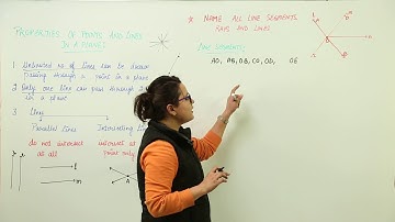 Best Free Topic l Class 5th I Maths I ICSE I Chapter I Geometry Lines And Angles I L37