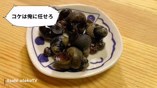 コケ退治のプロフェッショナル導入 【ヒメタニシ 】【アクアリウム】