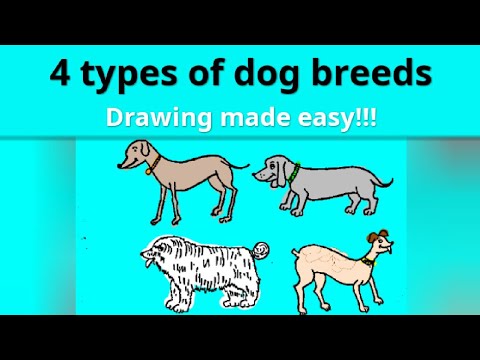 वीडियो: सभी नस्लों के कुत्तों को कैसे आकर्षित करें