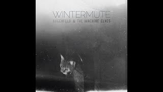 Wintermute