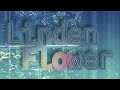 Miniature de la vidéo de la chanson Linden Flower