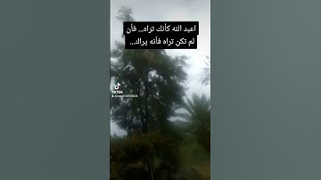 سورة الانسان قران كريم بصوت زركار الكردي اكتب شيء تؤجر عليه