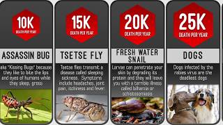 Deadliest Animals in the World Comparison : Probability Comparison